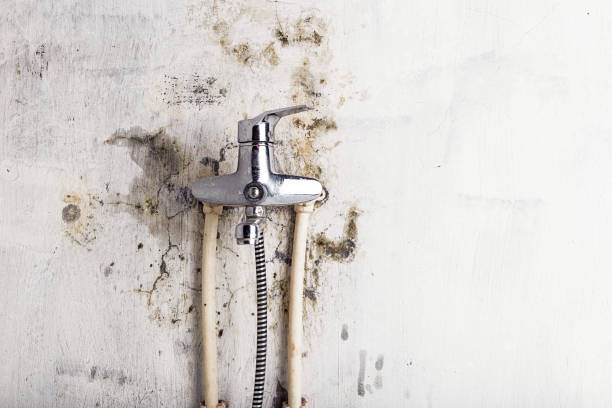 Best Mold Testing  in Scranton, PA
