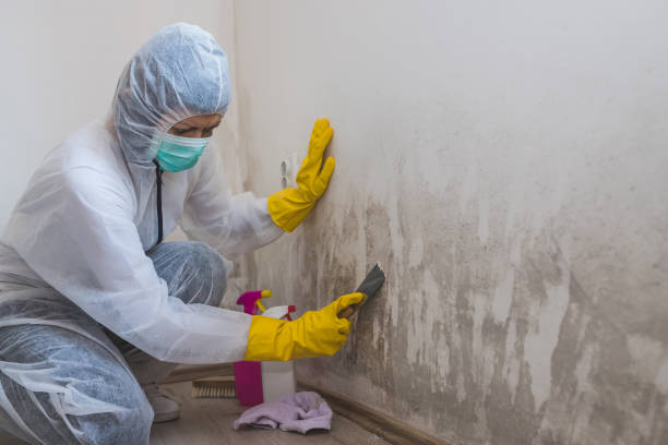 Water Damage Restoration in Scranton, PA