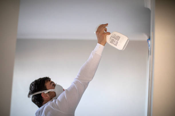 Best Mold Removal Specialists  in Scranton, PA