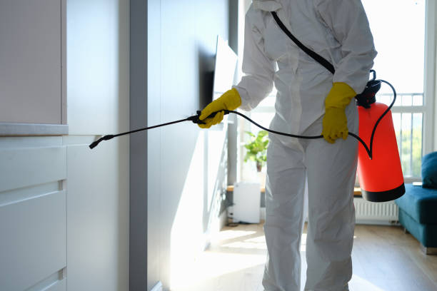 Best Residential Mold Removal  in Scranton, PA