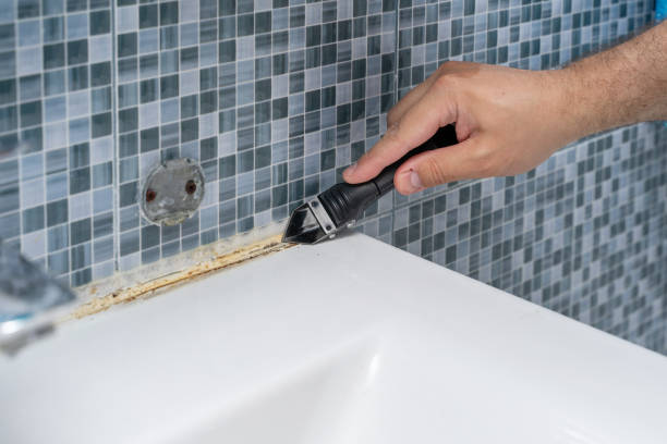 Best Local Mold Removal Service  in Scranton, PA
