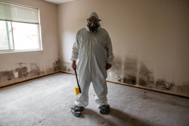 Home Mold Removal in Scranton, PA